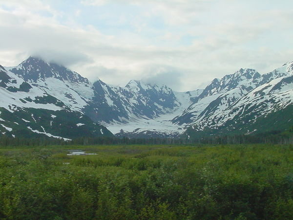 Train ride view on the way to Seward