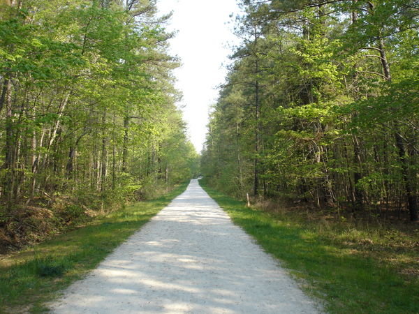 Main trail