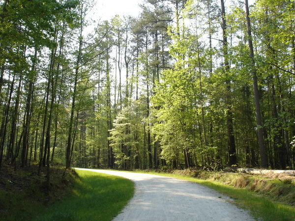 Main trail
