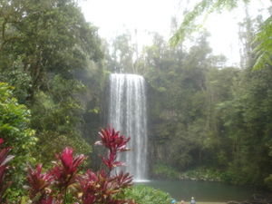One of the famous waterfalls in Queensland