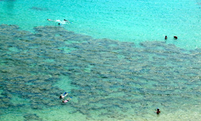 Snorklers at Hanauma Bay
