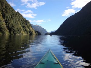 Kayaking on Doubtful Sound