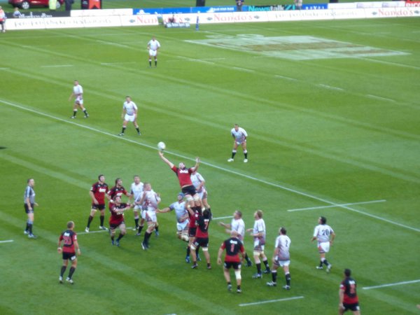 Chrischurch Crusader's rugby