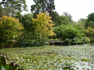 Botanical Gardens in Christchurch