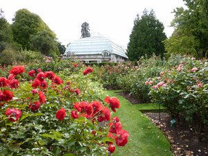 Botanical Gardens in Christchurch