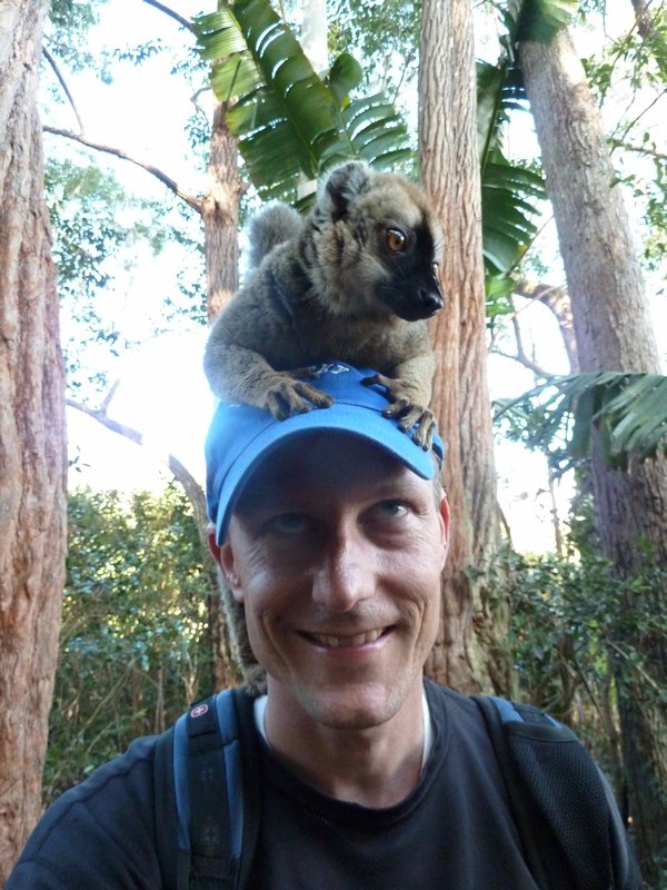 A new friend on lemur island