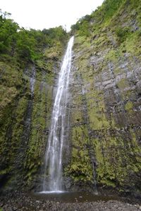 Waimaku Falls 
