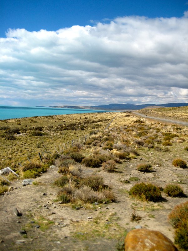 At the edge of Lago Argentina