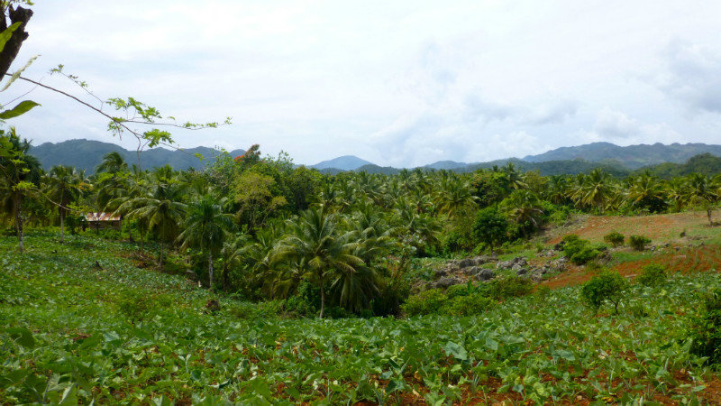 View of a valley on the road to Playa Rincon