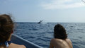 Whale tail in Las Galeras Bay