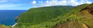 View from Pololu Hike