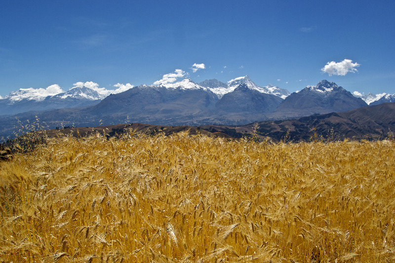View of Cordillera Blanca range from Wilka Cocha