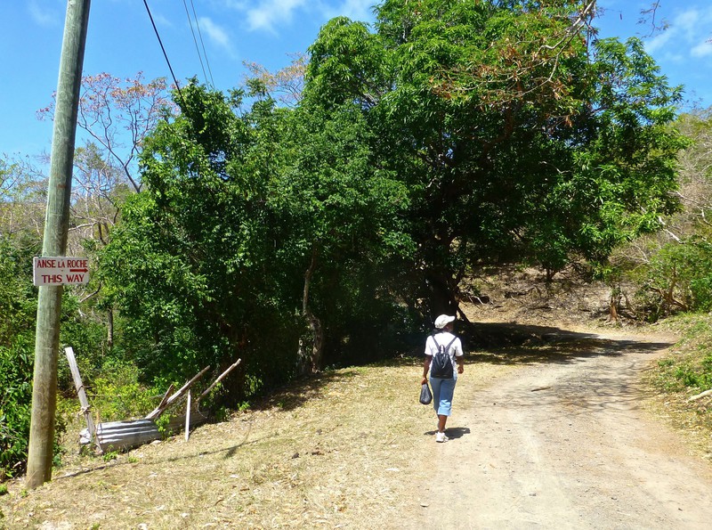 High North Trail - Carriacou