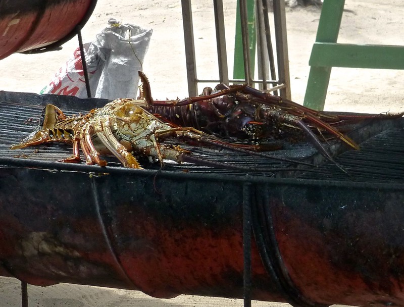 Lobster on the grill in the Tobago Keys