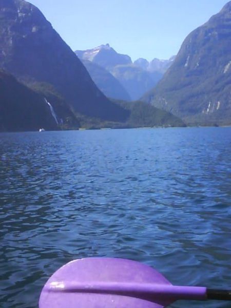 Kayaking in milford sounds