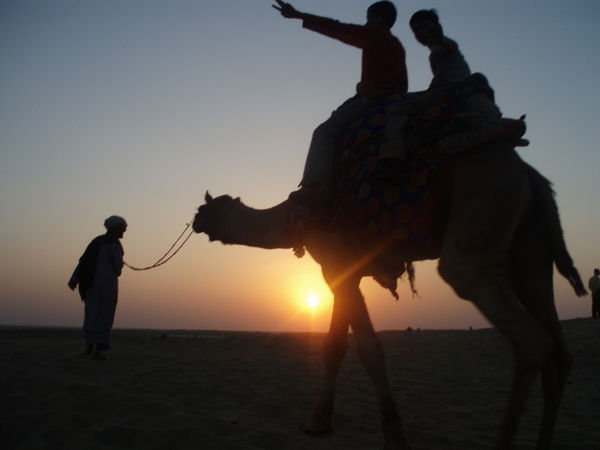Sand dunes, Sunset, camels, Beltin!
