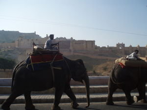 Amber Fort2