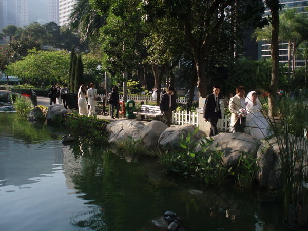 Weddings in the Botanical Gardens