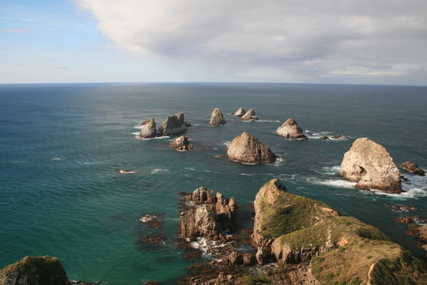 more Nugget Point