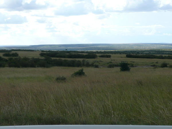 Masaai Mara