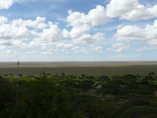 Our first glimpse of the Serengeti