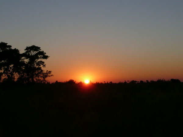 Sunrise in the Okavango Delta