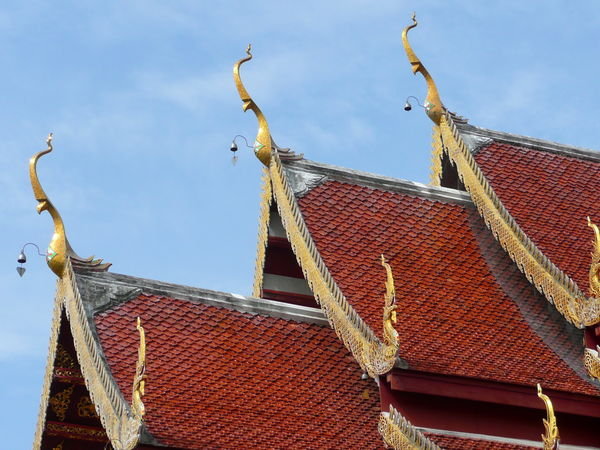 Rooftops of the Temple
