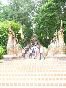 306 steps to Doi Suthep