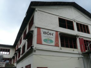 Boh Tea Factory