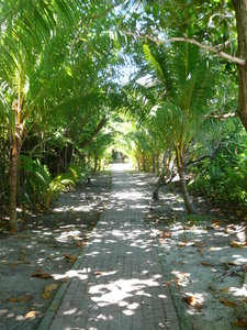 Path to our bungalow