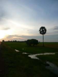 Into Cambodia