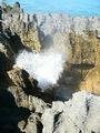 At the blowhole