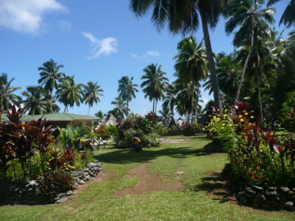 Paradise Cove garden
