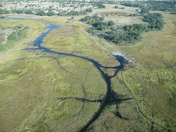 Over the Okavango