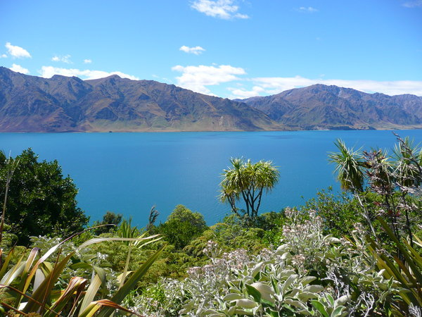 Gorgeous Lake South Island NZ