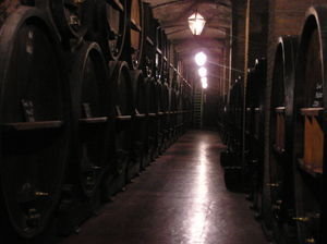 Wine cellars in Mendoza