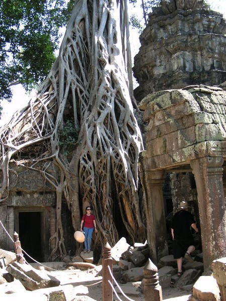 Ta Prohm, Angkor