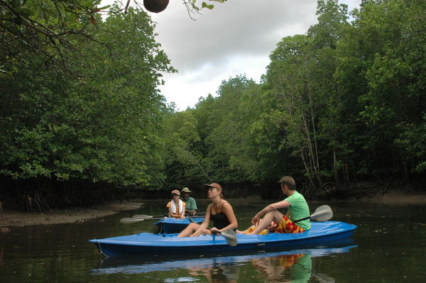 Mangrove Kayake