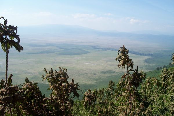 Ngorongoro caldera