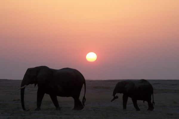 Sunset over Kenya