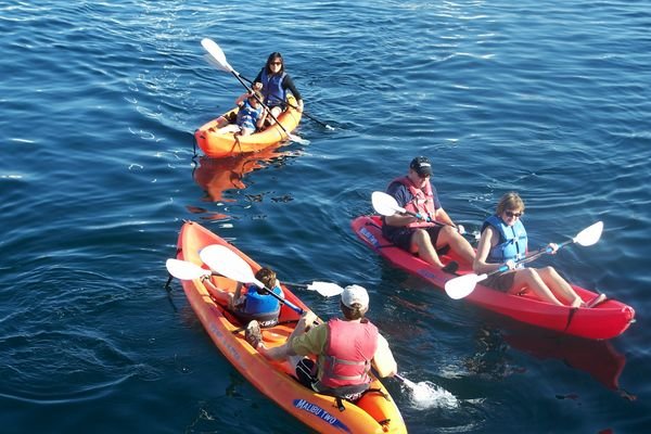 The kids enjoy their kayaking adventure