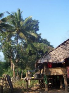 Village Kareen