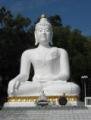 Bouddha sur le sentier