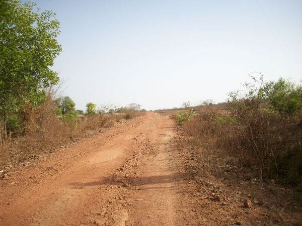 Really Good Road in Guinea