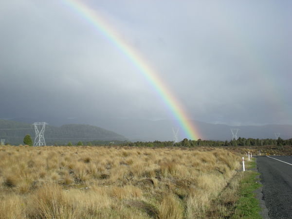 Rainbow over Tussock, Desert Road