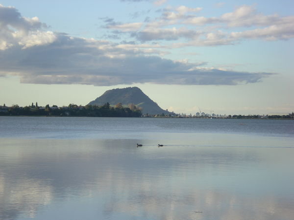 The Mount, Tauranga