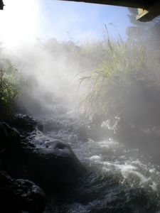 Geothermal Stream at dawn, Taupo