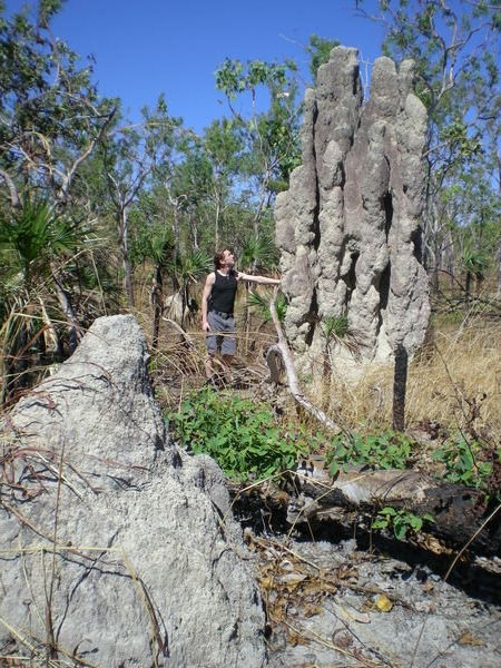 Cathedral Termite Mound, Litchfield National Park