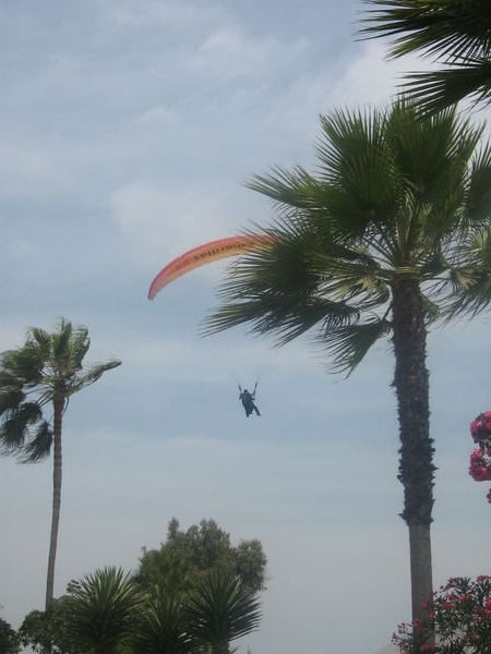 Paragliding zwischen Palmen und Hochhaeusern