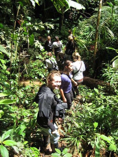 walking for 8 hours in the jungle, sometimes is necessary to form a path with the knife... 